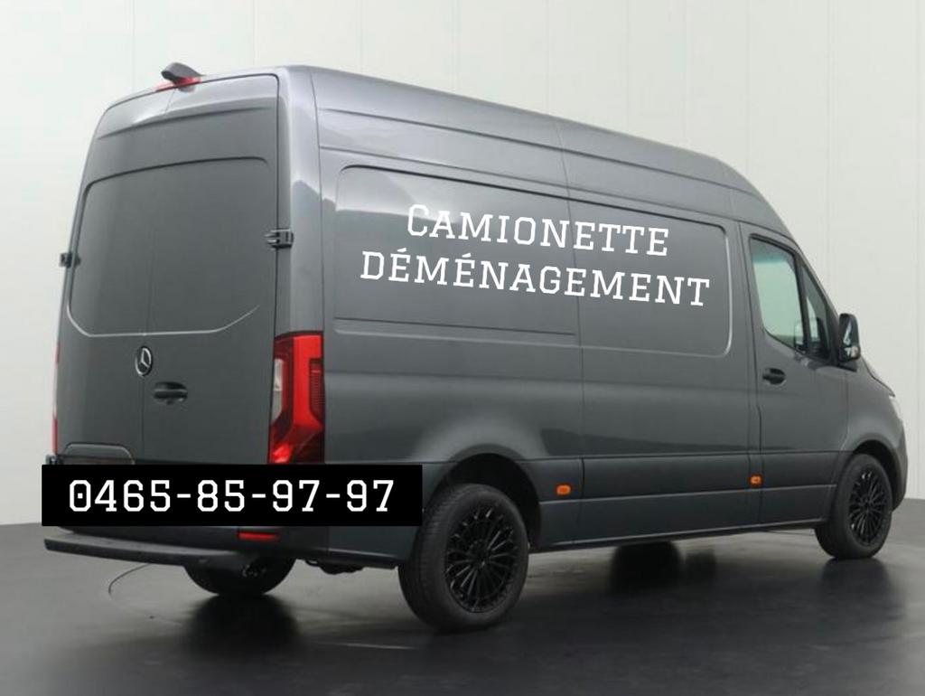 Verhuiswagen (verhuizen), Ophalen of Verzenden, Zo goed als nieuw