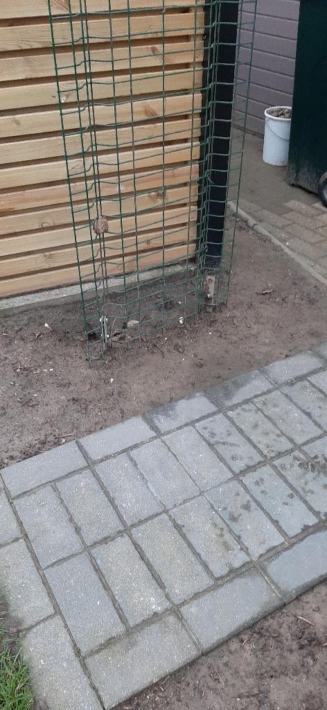 Rozenboog, Ophalen, Gebruikt