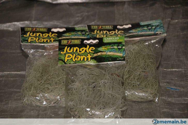 Plantes de jungle (Mousse d'espagne Cabello) Exo Terra, Enlèvement, Neuf