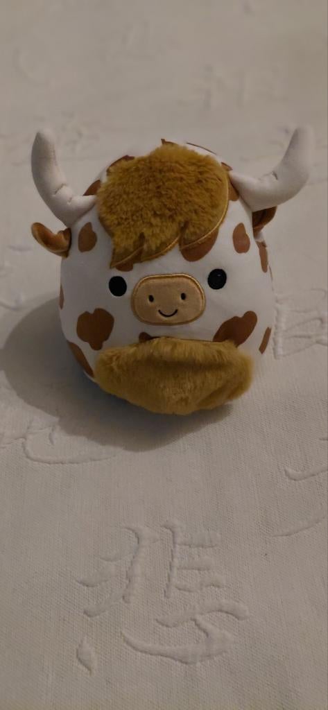 Squishmallow, Enlèvement