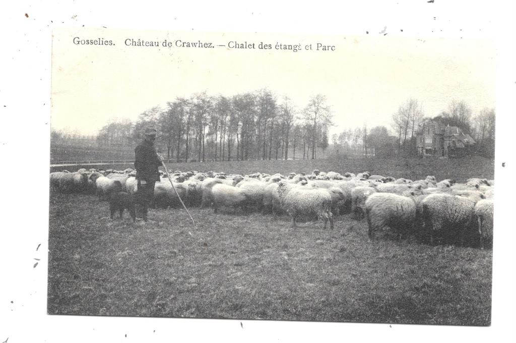 Gosselies NA90: Château de Crawhez. Chalet des étangs, Envoi, Avant 1920, Affranchie, Hainaut