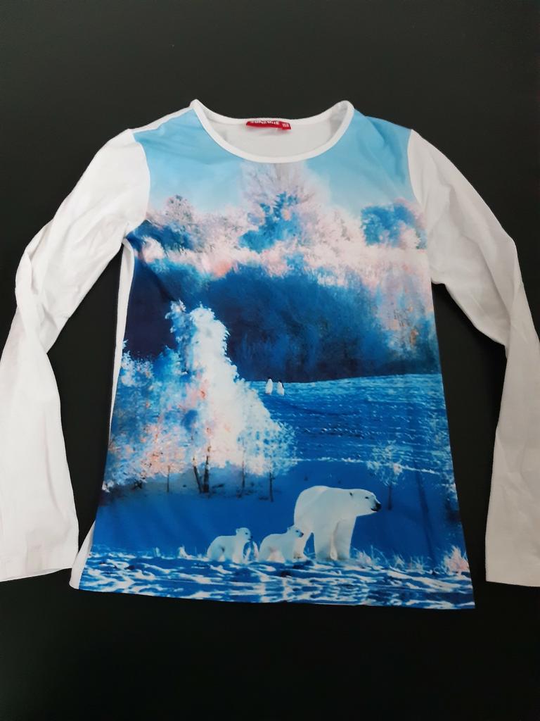 Longsleeve Someone m. 152 ijsbeer, Kinderen en Baby's, Kinderkleding | Maat 110, Gebruikt, Meisje, Ophalen of Verzenden, Someone