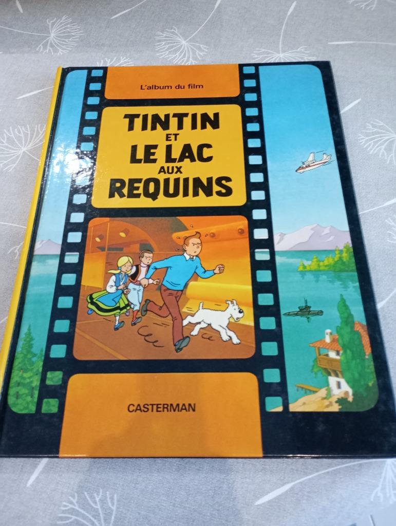 Tintin et le lac aux requins, Enlèvement
