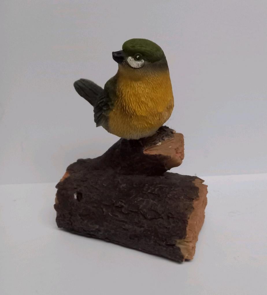 🐦 Oiseau, Enlèvement ou Envoi