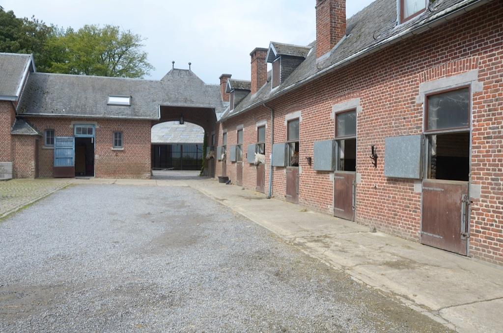 Ecurie privée pension box prairie, Pâturage, 4 chevaux ou poneys ou plus