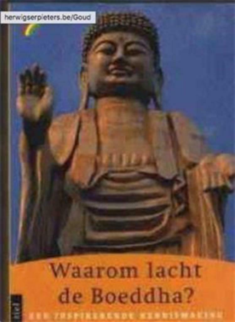 Waarom lacht de Boeddha? Mark Magill, Boeken, Godsdienst en Theologie, Ophalen of Verzenden, Gelezen, Boeddhisme