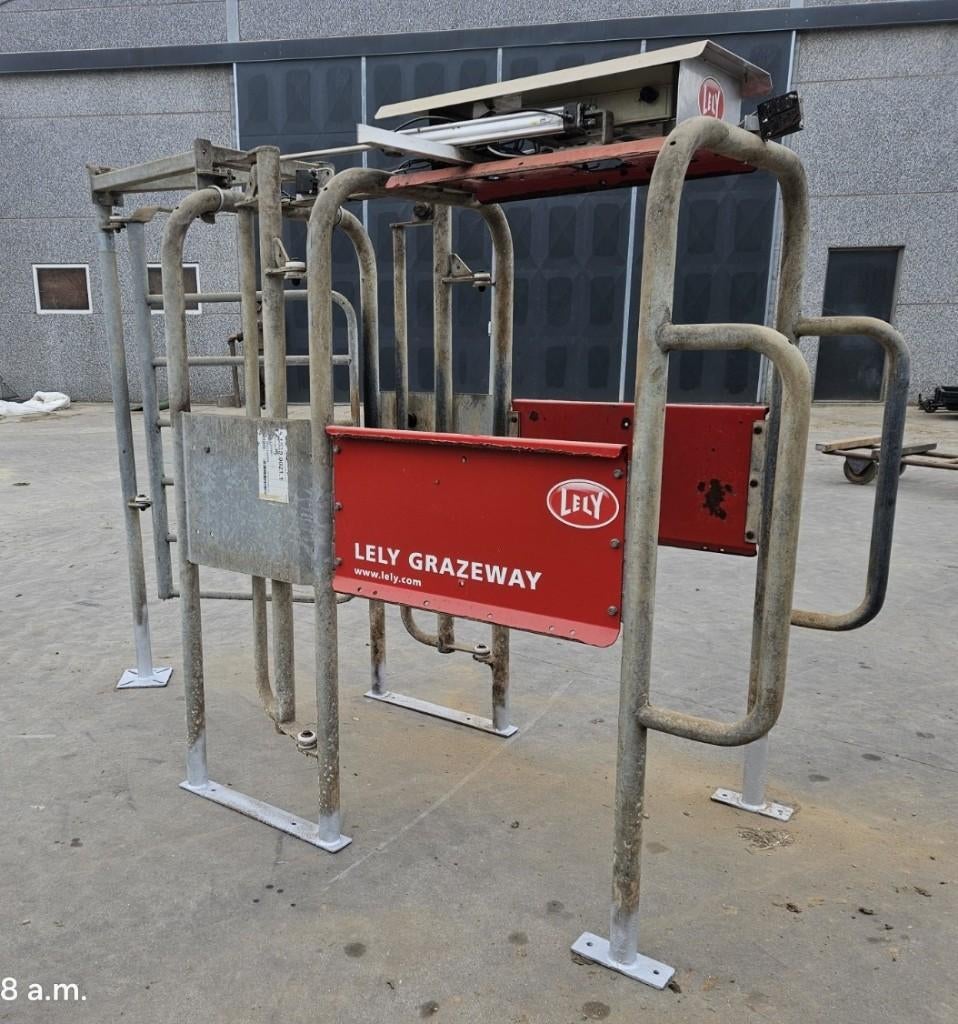 beweidingspoort, grazeway lely, Enlèvement, Élevage