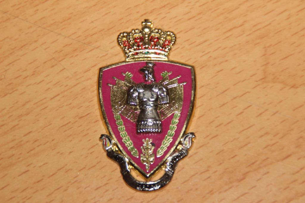 ABL Emblème IRSD (Institut Royal Supérieur de Défense), Envoi, Armée de terre, Emblème ou Badge