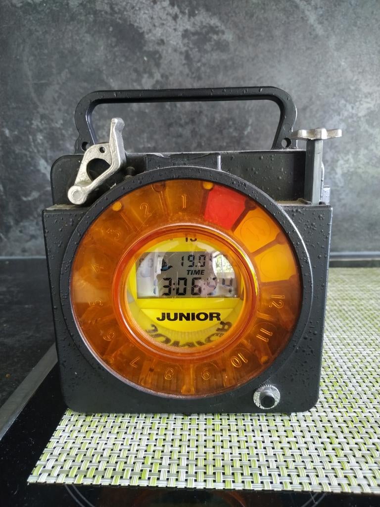 Duivenklok / Constateur Junior 50 stuks