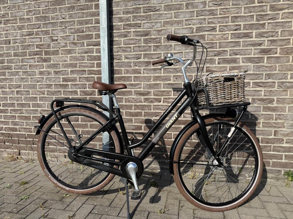 Damesfiets Giant Triple X, Fietsen en Brommers, Fietsen | Dames | Damesfietsen, Ophalen, Zo goed als nieuw, Giant