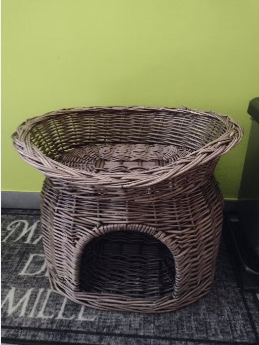 chat, Animaux & Accessoires, Enlèvement, Chat