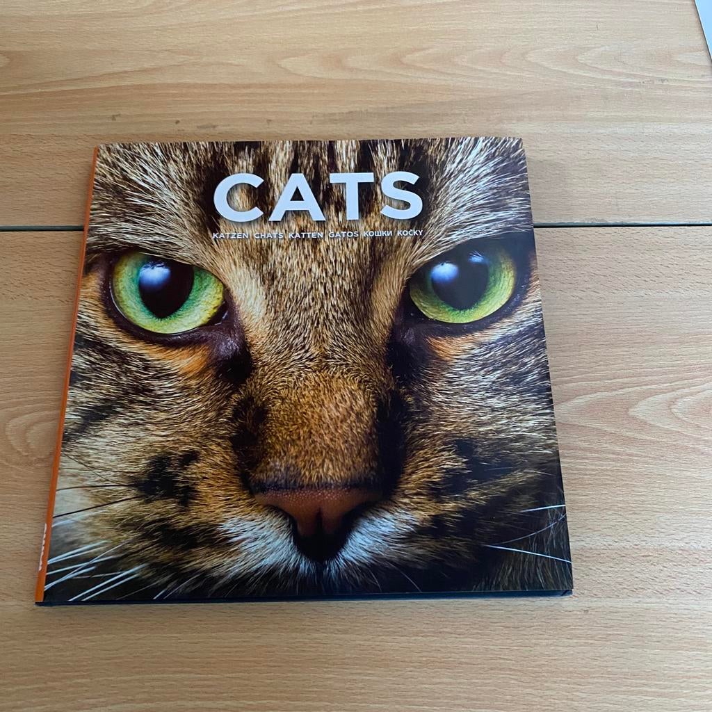 Cats, Livres, Animaux & Animaux domestiques, Enlèvement ou Envoi, Comme neuf, Chats
