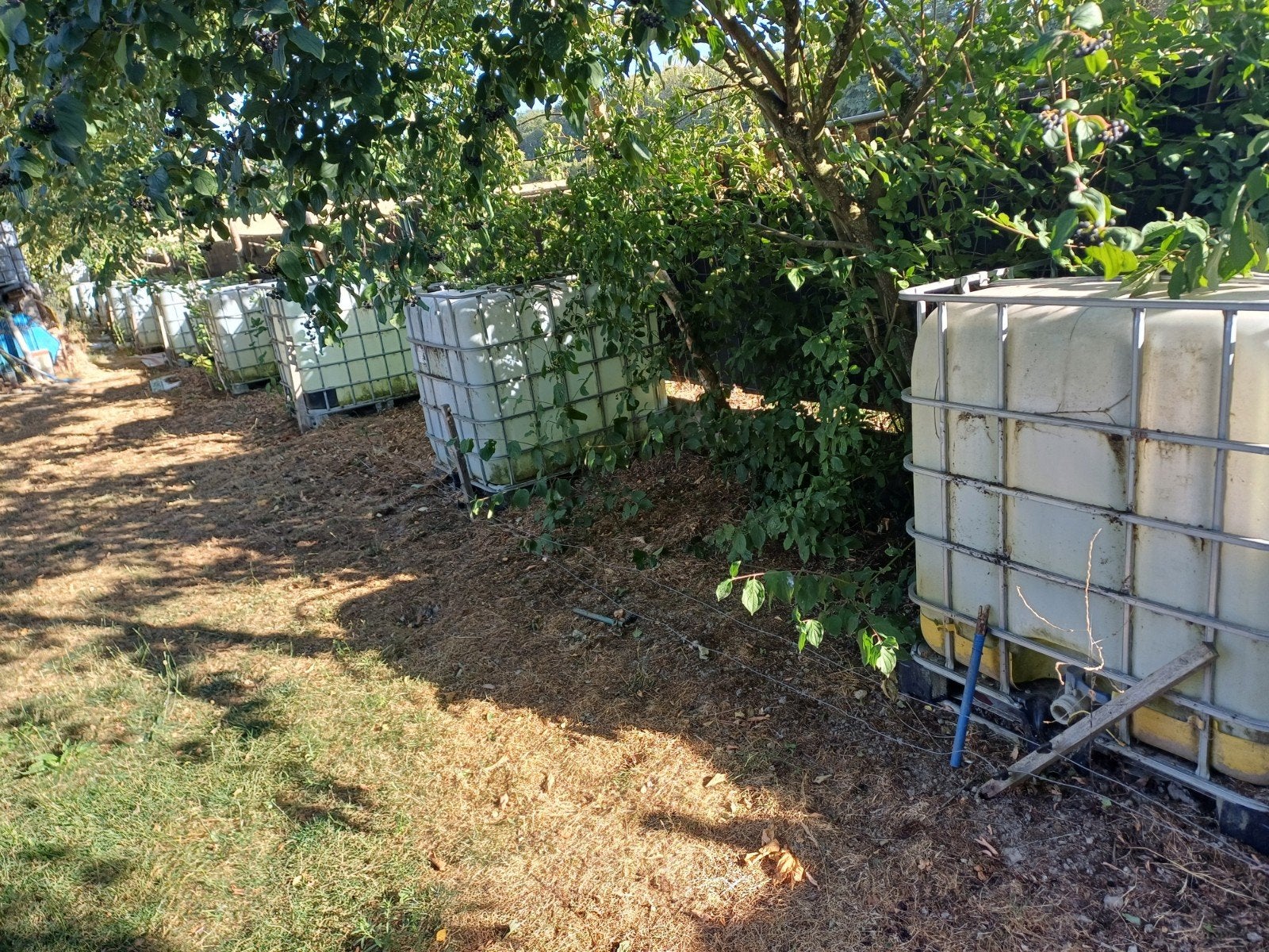 Cubi 1000 litres, Enlèvement