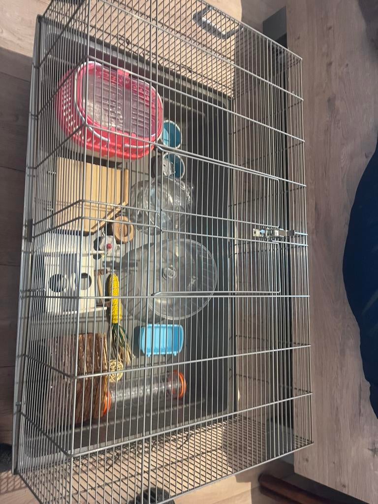 Halsterkooi met alle beginnende assocoires, Dieren en Toebehoren, Kooi, Gebruikt, 60 tot 90 cm, Ophalen of Verzenden