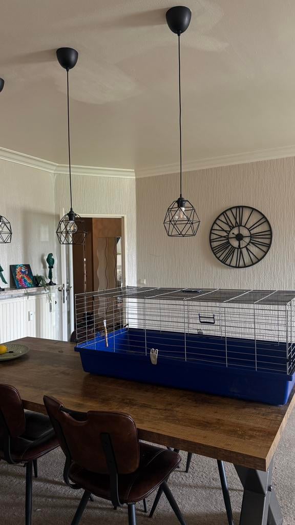Grote knaagdierkooi 116 cm – goede staat, Dieren en Toebehoren, Ophalen of Verzenden, Zo goed als nieuw, Cavia