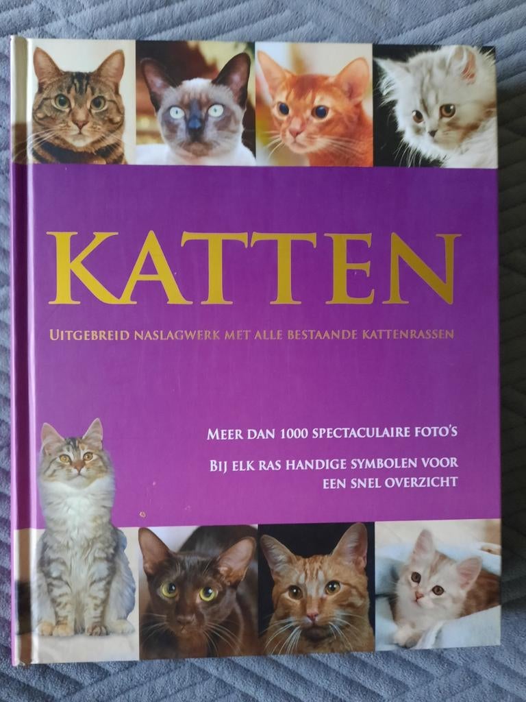 Boek katten, Livres, Animaux & Animaux domestiques, Envoi, Neuf, Chats