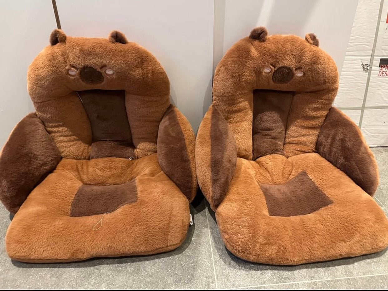 Coussin de voiture, Enlèvement, Comme neuf