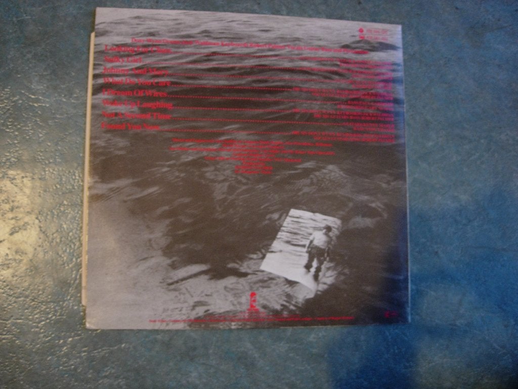LP Robert Palmer, LP, Gebruikt, Pop, 12 inch