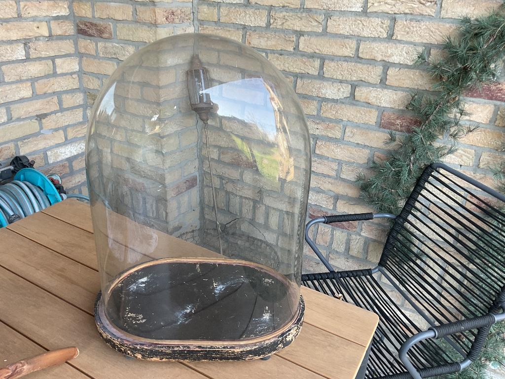 Prachtige oude grote glazen stolp met origineel sokkel, Ophalen