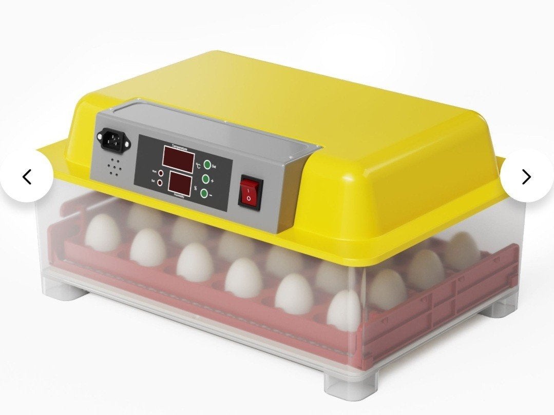 Couveuse automatique, Dieren en Toebehoren, Pluimvee | Toebehoren, Broedmachine