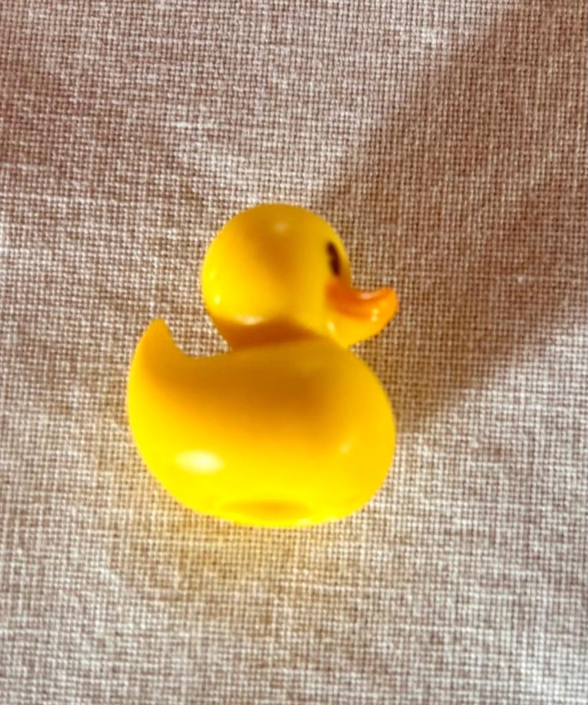 Mini canard en plastique, Ophalen of Verzenden, Nieuw