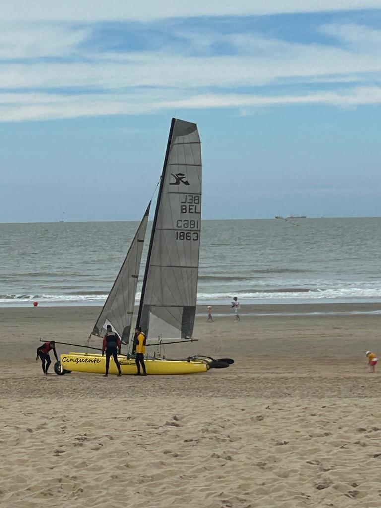 Hobie cat tiger 18ft, Ophalen, Gebruikt, Hobie, Geen motor