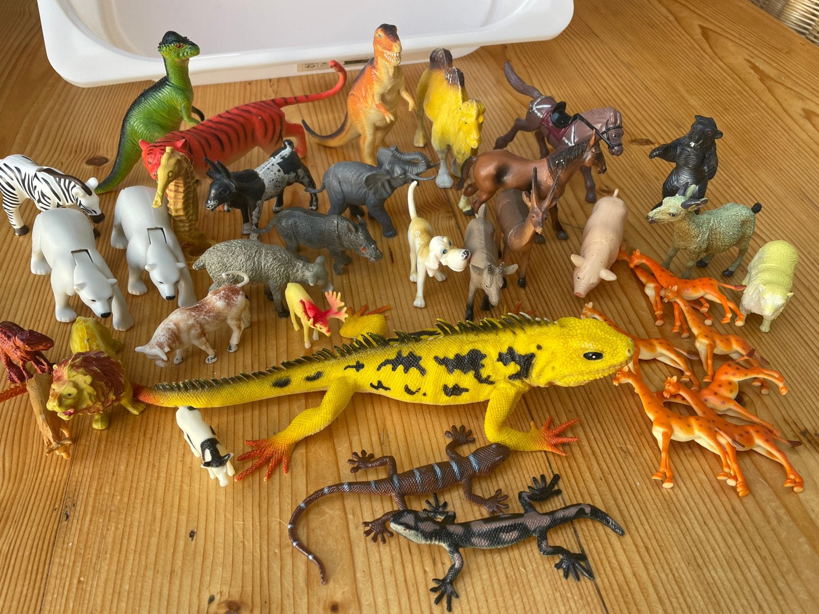 Figurine animaux, Enlèvement