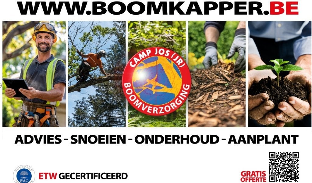 hakselaar, Tuin en Terras, Ophalen of Verzenden, Zo goed als nieuw, Benzine