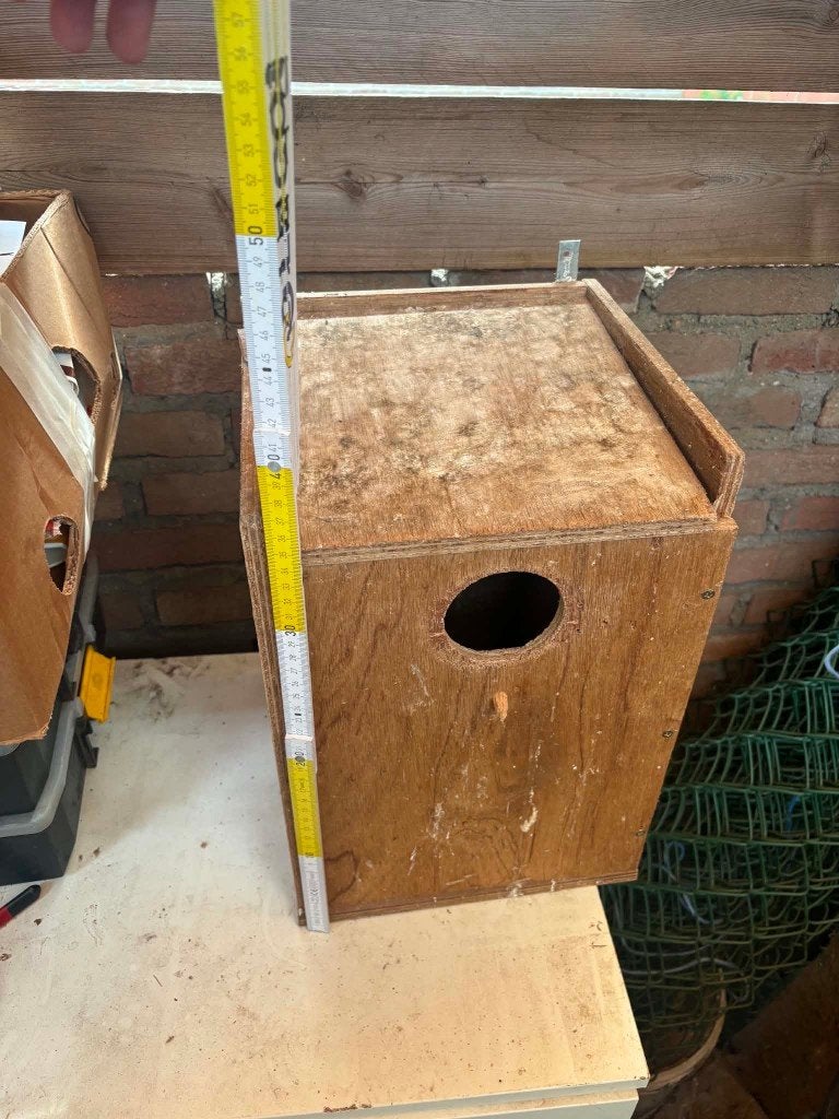 à vendre pour oiseaux