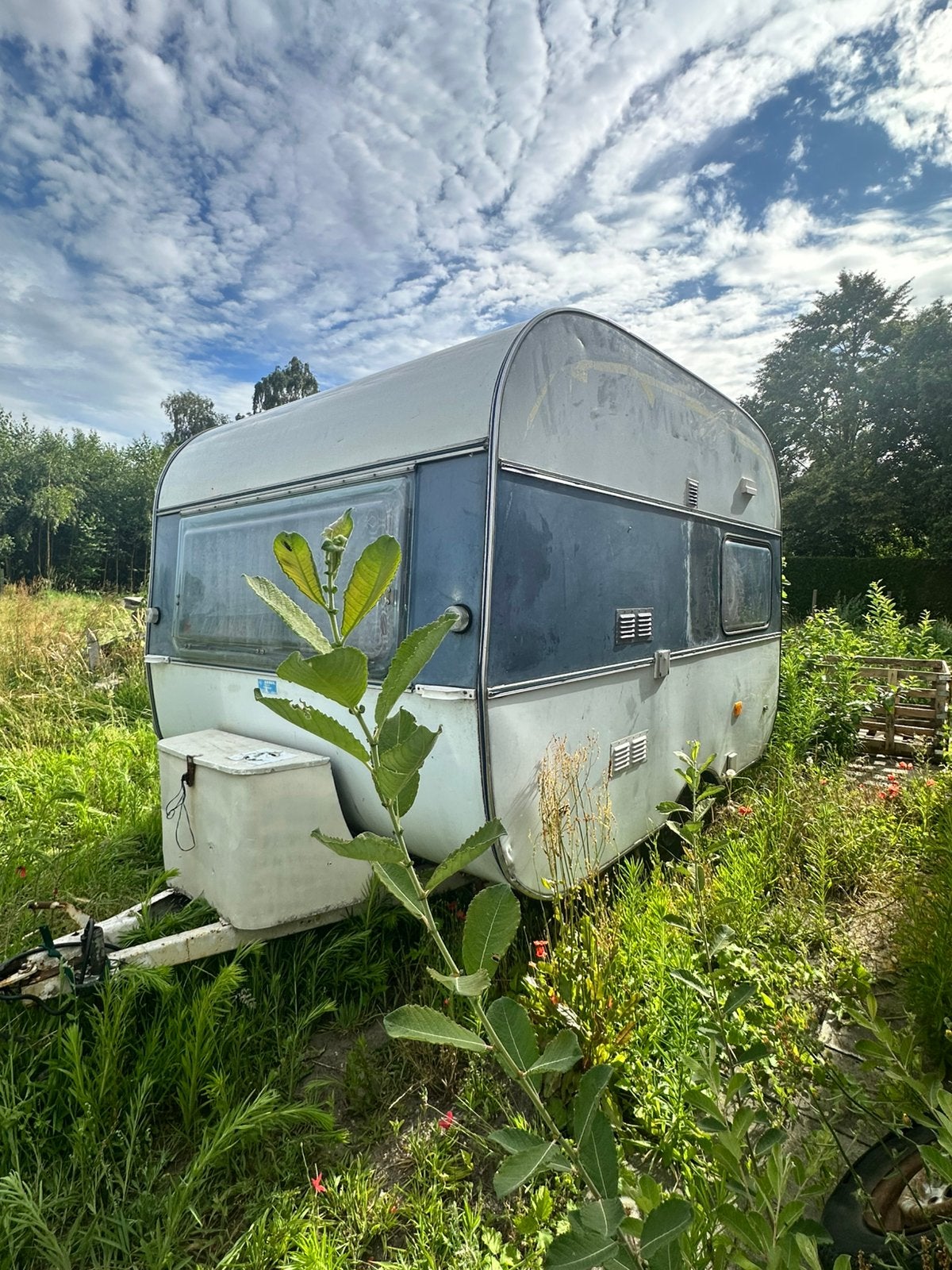 Caravane Adria 305 SL 500 kg/moins de 750 kg mtm, Jusqu'à 4, Jusqu'à 4 m, Particulier, Siège standard