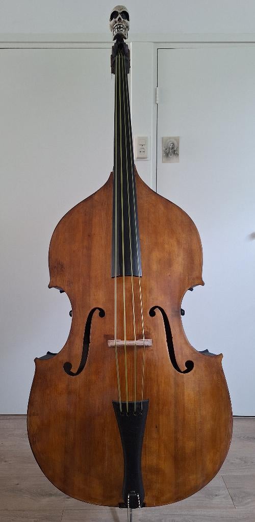 Skull Contrabas, Musique & Instruments, Enlèvement, Utilisé