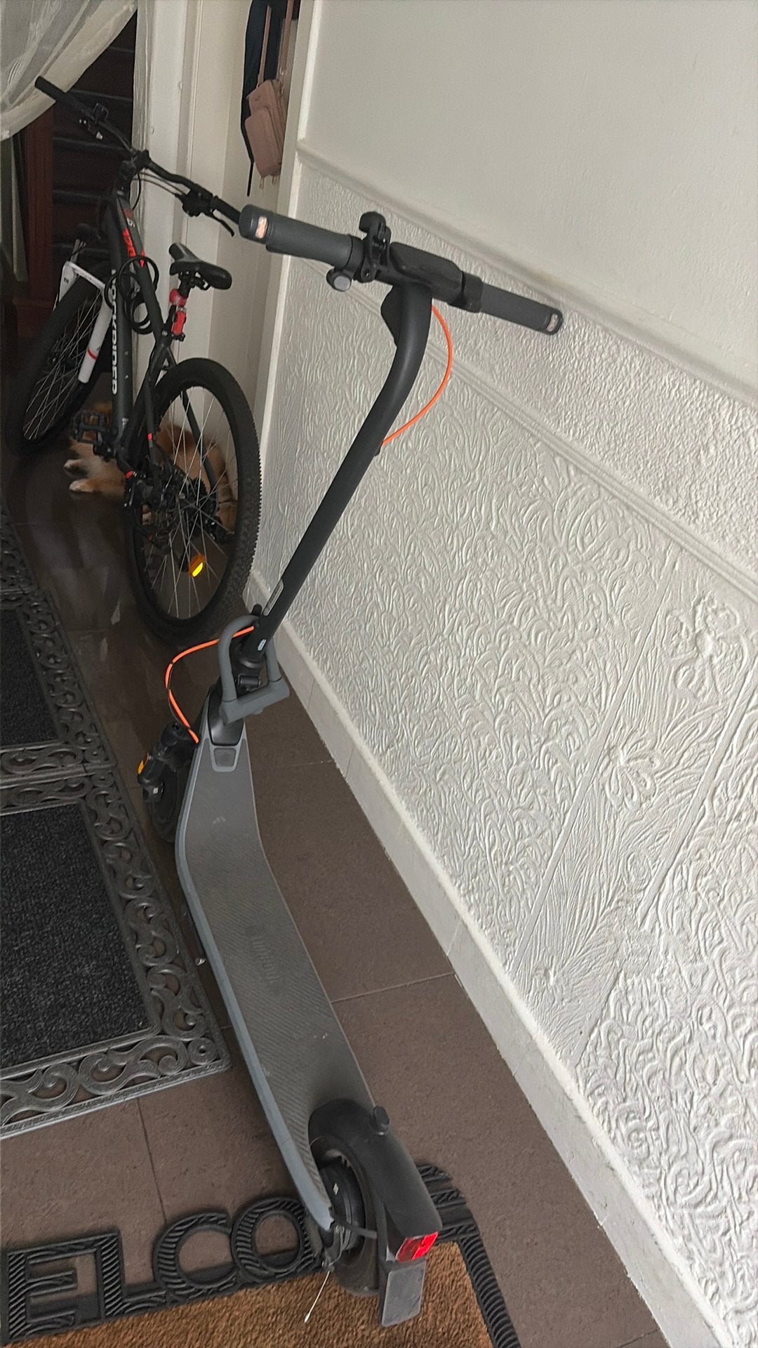 Ninebot segway e2plus, Fietsen en Brommers, Steps, Ophalen, Zo goed als nieuw, Elektrische step (E-scooter)