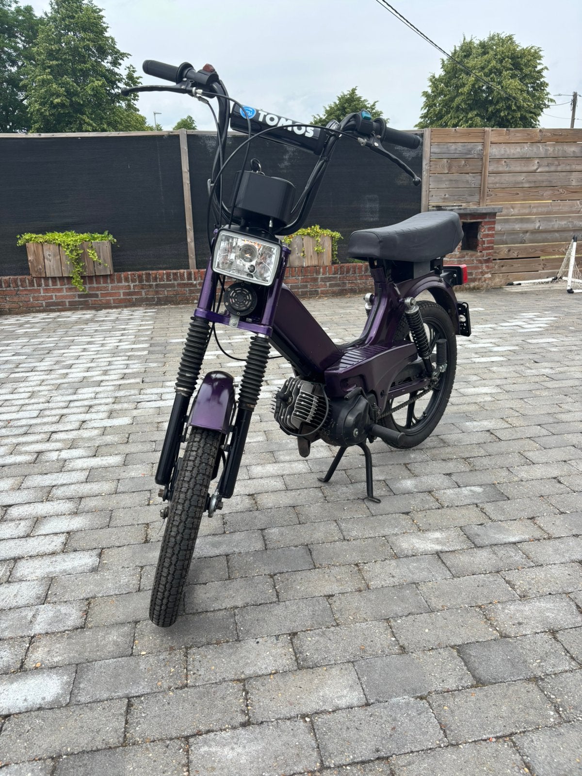 Tomos, Autres modèles, Comme neuf, Enlèvement, Classe A (25 km/h)