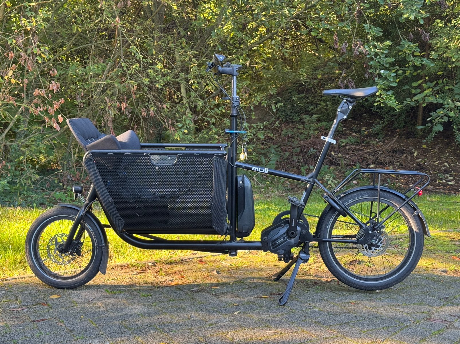 Muli Motor St, Ophalen, Gebruikt, 2 kinderen, Elektrisch