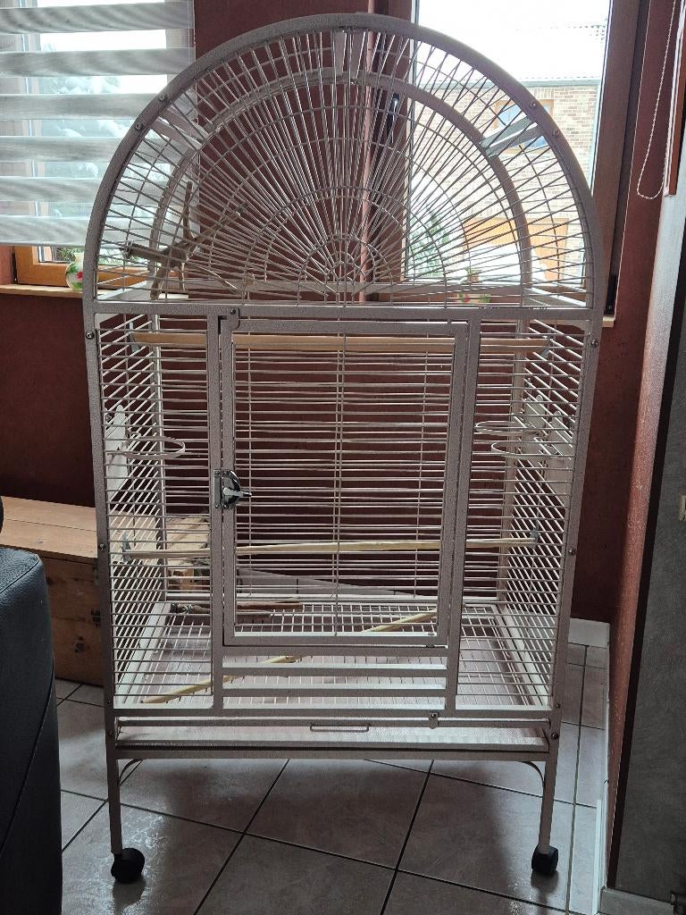 A vendre cage perroquet, Animaux & Accessoires, Enlèvement, Utilisé, Métal, Cage à oiseaux