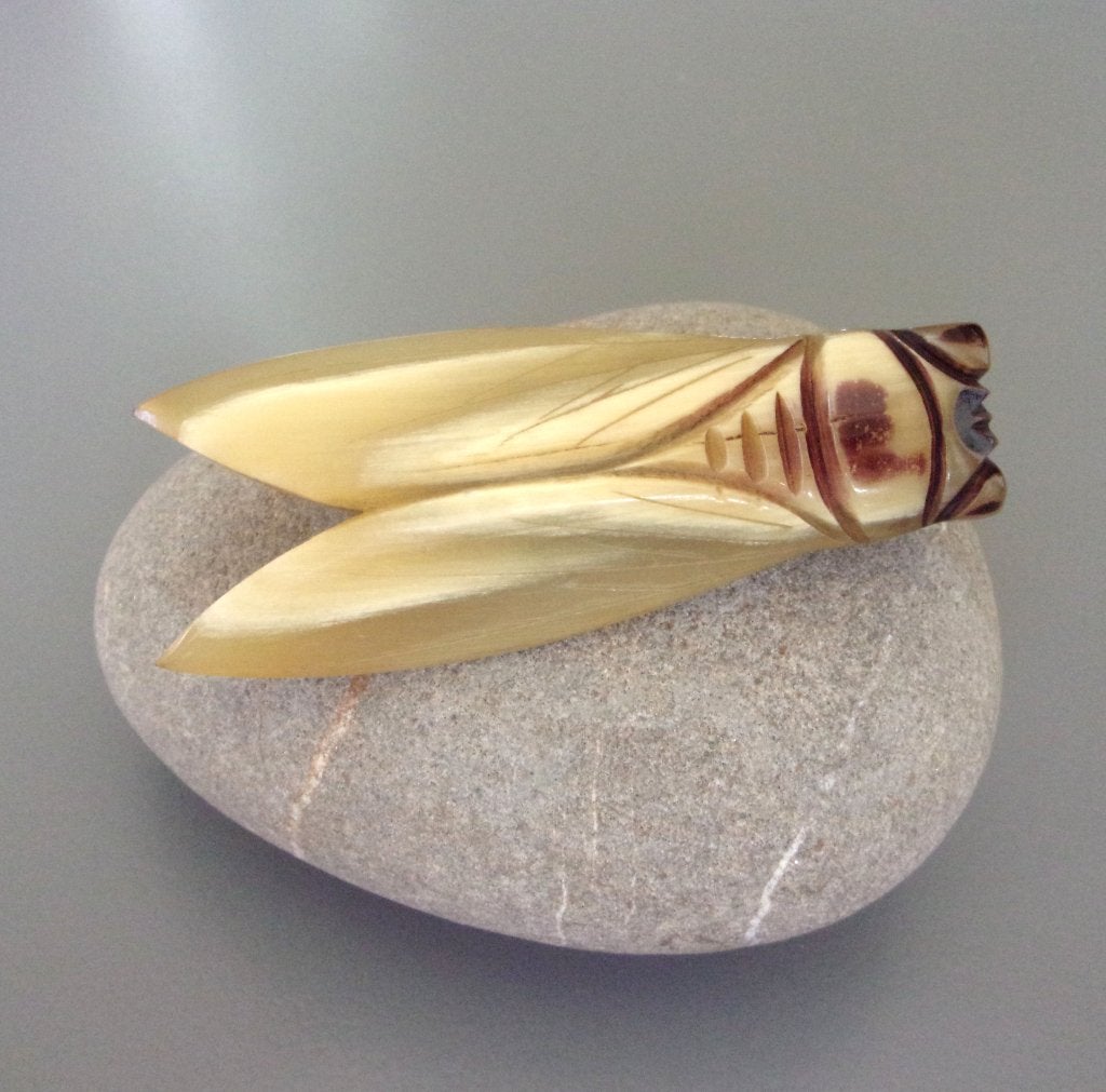 Oude grote cicadebroche in blonde hoorn, Overige materialen, Gebruikt, Beige, Ophalen of Verzenden