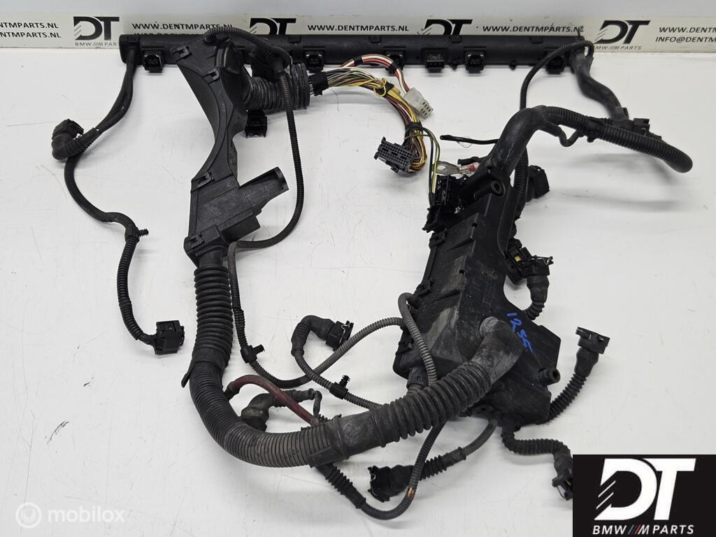 Kabelboom motor BMW E46 M3 S54 S54B32 MSS54 12517831646, Gebruikt, Ophalen of Verzenden, BMW, BMW