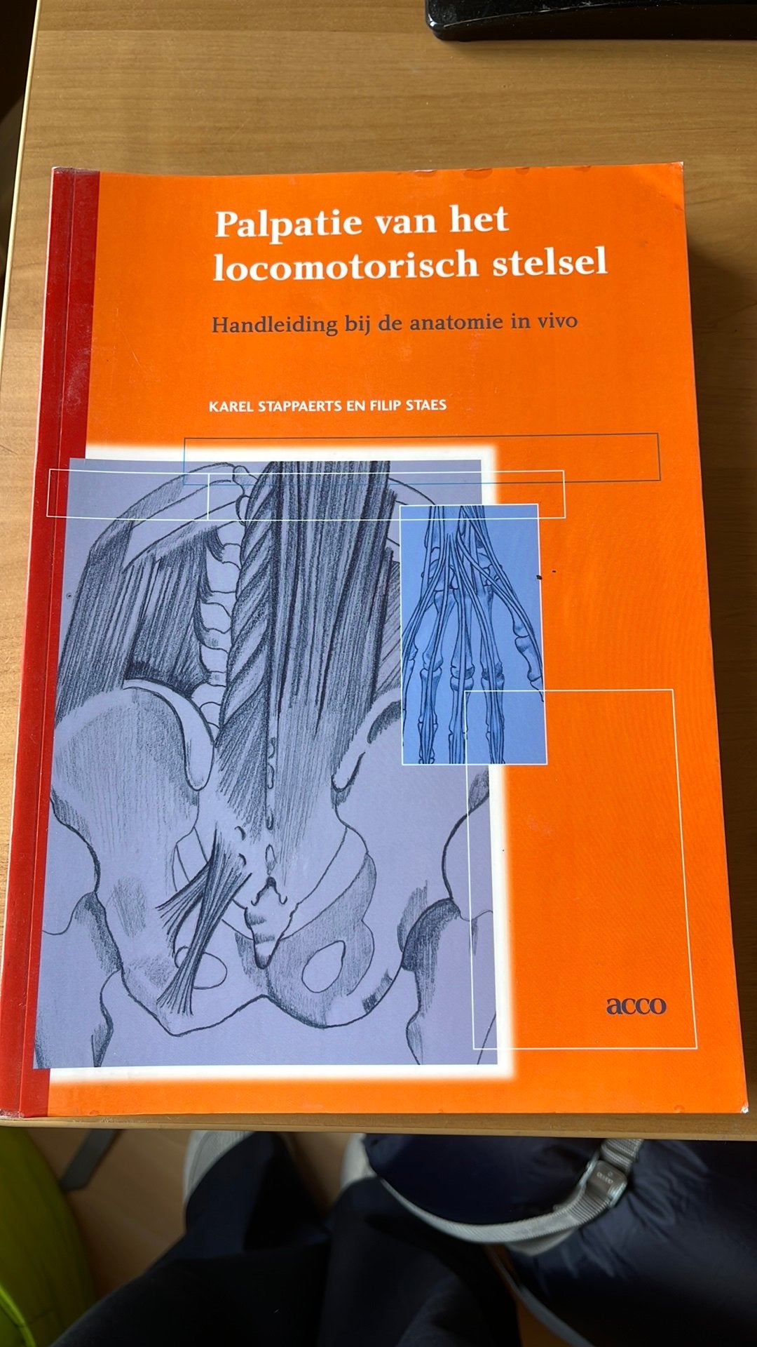 F. Staes - Palpatie van het locomotorisch stelsel, Boeken, Ophalen of Verzenden, F. Staes; K. Stappaerts