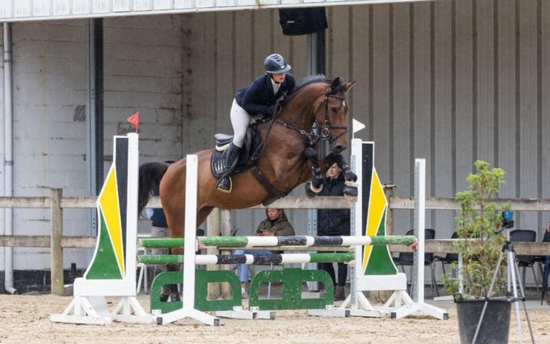 6 jarig  springpaard, Tickets & Billets, Loisirs | Jardins zoologiques
