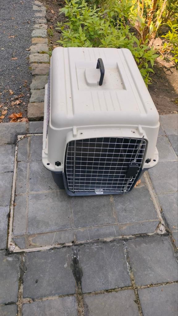 Cage pour chien pour le transport, une fois utilisée., Enlèvement