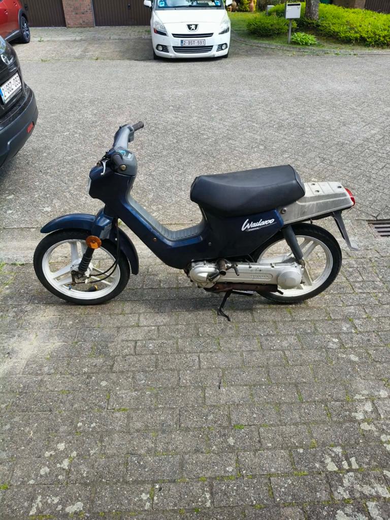 Honda Wallaroo Classe A à vendre ou à échanger, Vélos & Vélomoteurs, Cyclomoteurs | Honda, Enlèvement