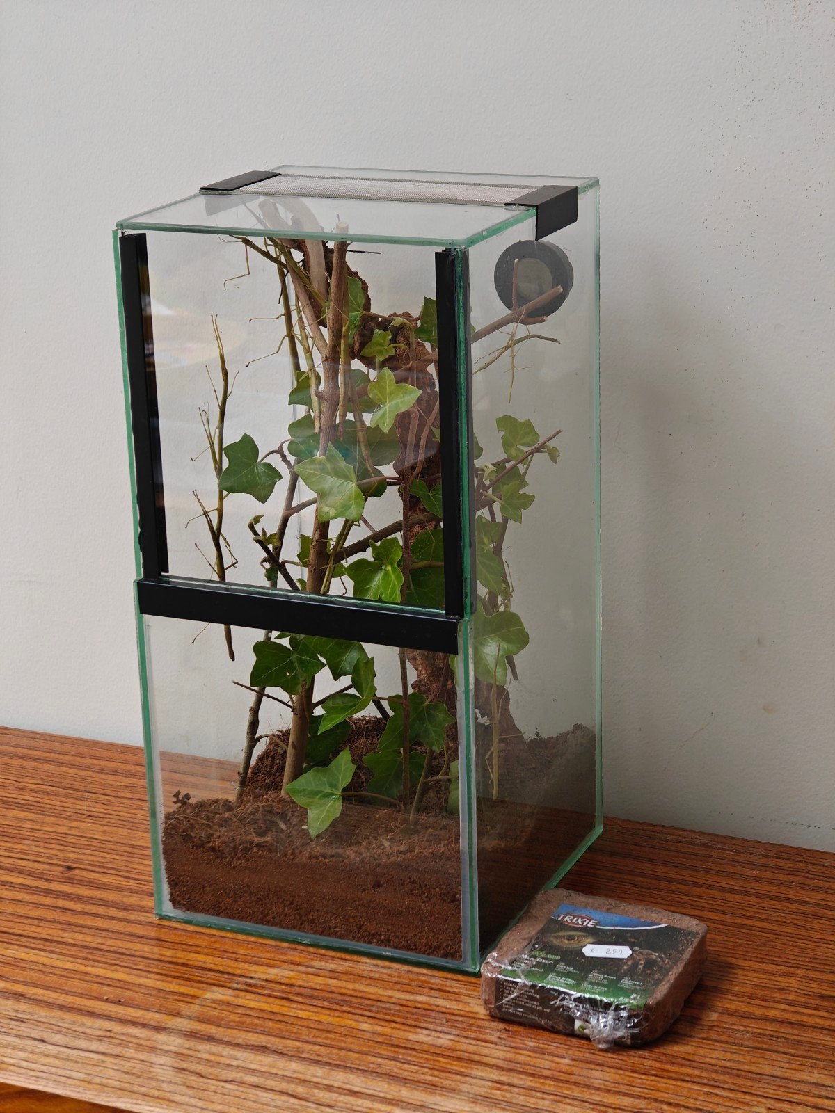Terraium met thermometer en 10 tal wandelende takken, Ophalen