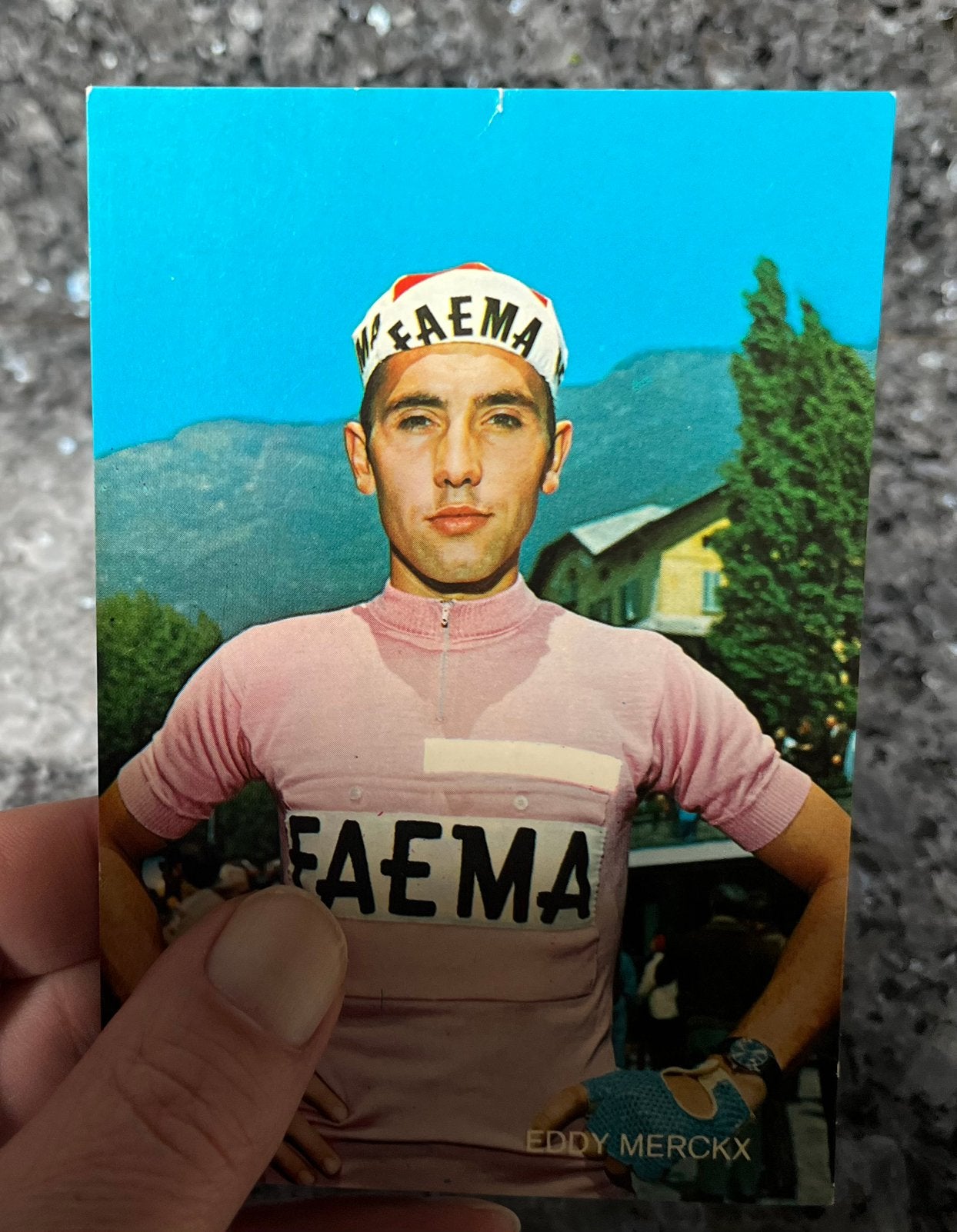 Wielrenner Eddy Merckx Faema Roze Trui Giro d’ Italia, Ophalen, Zo goed als nieuw