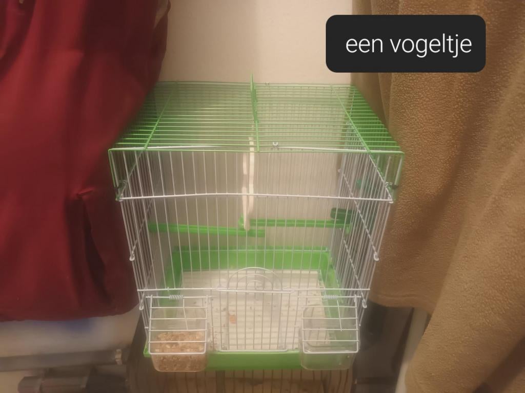 Vogelkooien  voor een voĝeltje groen en rood Vogelkooien, Ophalen