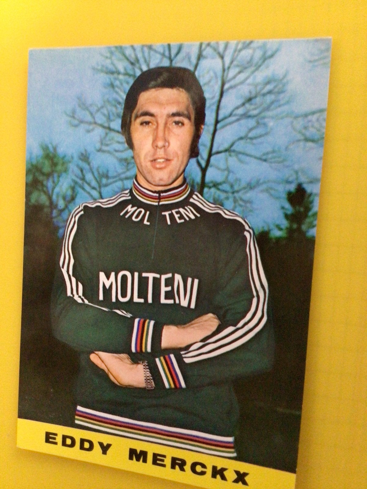 wielerkaart team molteni eddy merckx, Verzenden, Zo goed als nieuw