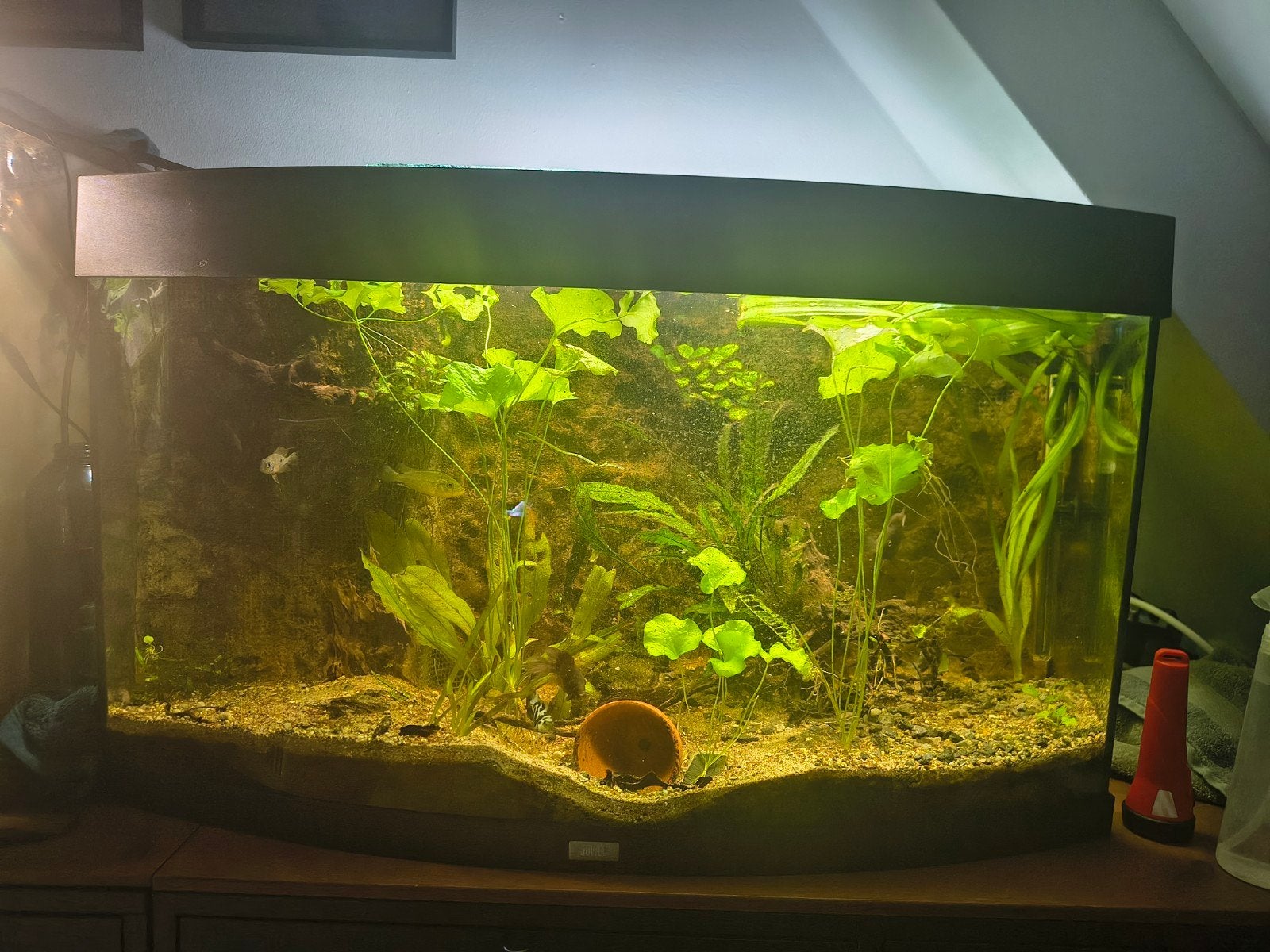 large aquarium, Dieren en Toebehoren, Ophalen, Gebruikt, Pomp, Juwel