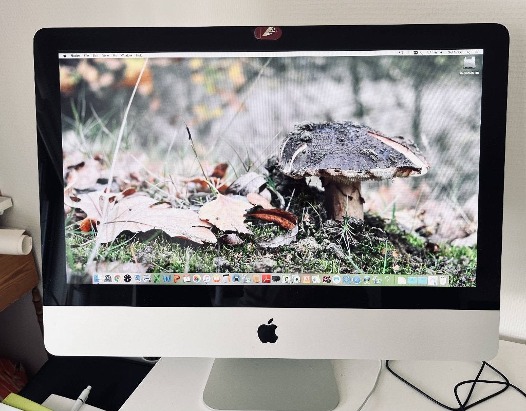 Apple iMac 21,5 pouces, mi-2011 (A1311) + clavier et souris, 8 GB, 8 GB, IMac, Enlèvement