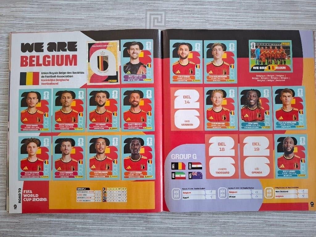 PANINI RUILEN, Verzamelen, Ophalen, Zo goed als nieuw, Sport