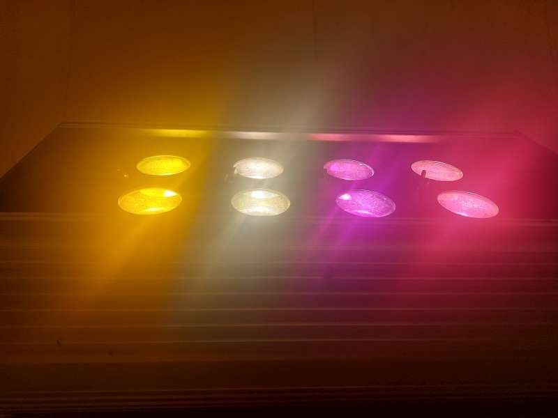 Lichteffect Dicrolight in flightcase, Enlèvement, Utilisé