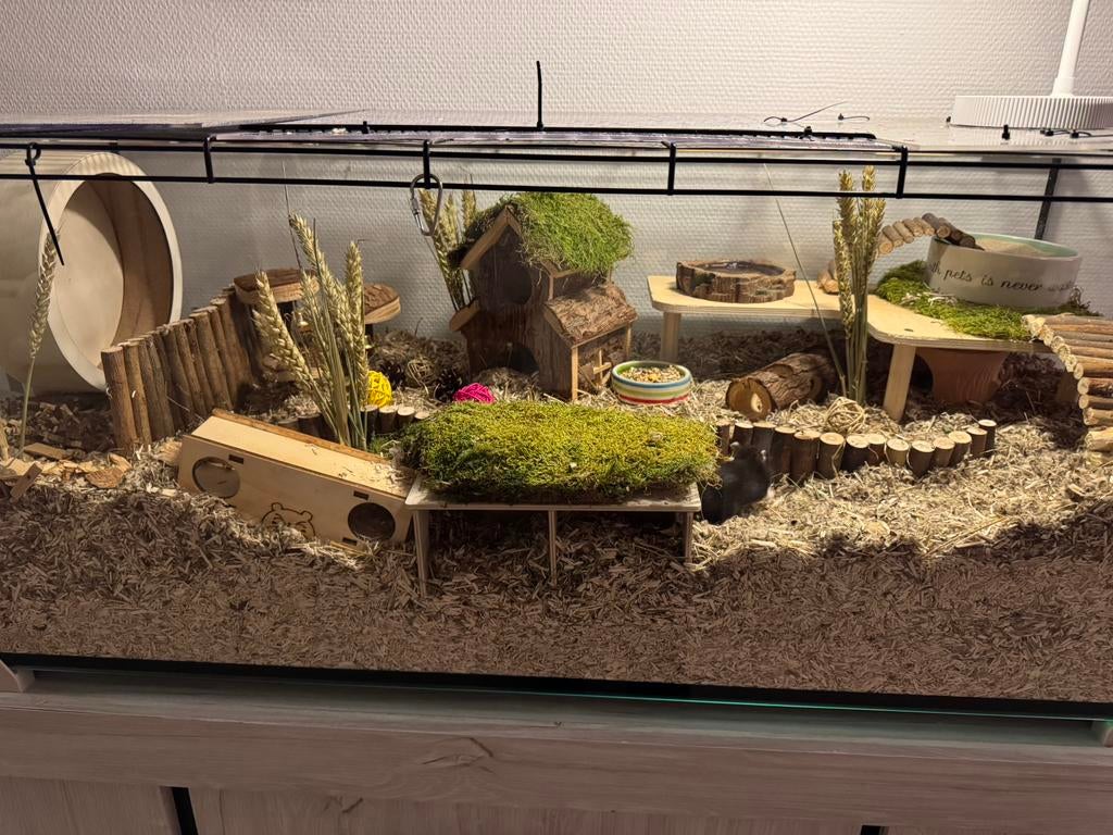 Hamsterkooi, Ophalen, Zo goed als nieuw, Kooi